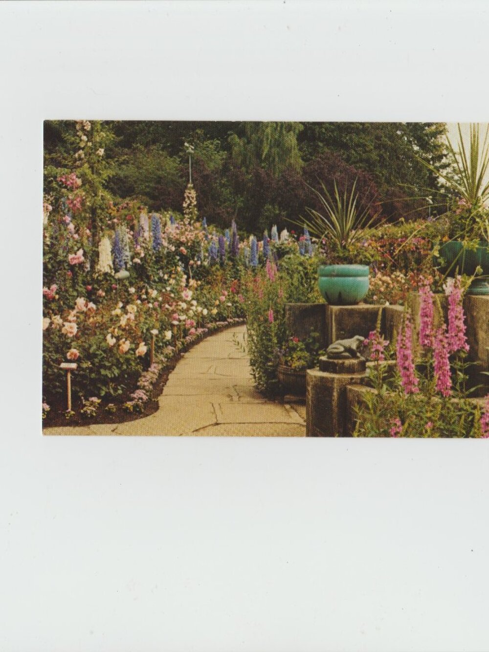 Postcard The Rose Garden The Butchard Garden's Victoria, British Columbia,Canada